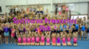 Image result for Spelthorne School Of Gymnastics