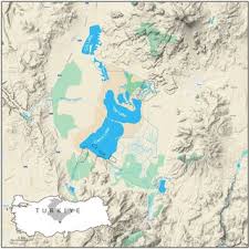 Attēlu rezultāti vaicājumam “Didymium tussilaginis spores”
