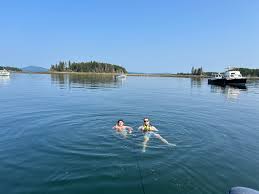 Image result for East Down Yacht Club