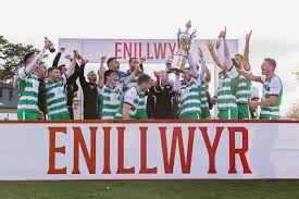 Image result for Newdigate F C