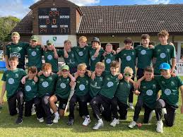 Image result for Burwell Cricket Club