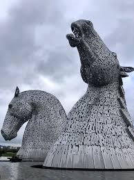 Image result for Scottish Equi Complex