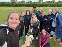 Image result for Cornwood Cricket Club