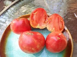 Afbeeldingsresultaat voor stump of the world tomato