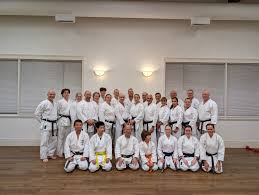 Image result for Aylesbury Vale Seido Karate