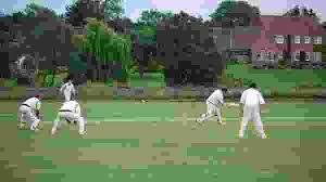 Image result for Milton Cricket Club