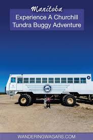 Image result for tundra buggy