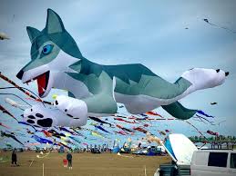 Image result for Kite Ireland