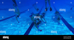 Image result for Tonbridge Octopush Club