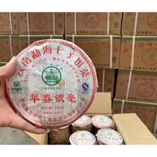 Image result for 2009早春