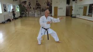 Image result for Sudbury Shotokan Karate Club kugb