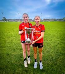 Image result for St Bronagh`s Gaa