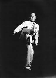 Image result for Dujon Tae Kwon Do