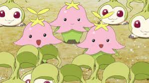 Image result for Lansongammon