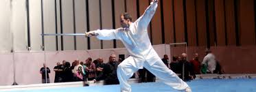 Image result for Dragon Martial Arts Association