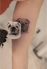 Image result for bulldog tattoos