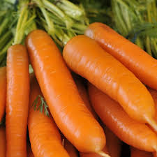 Image result for Möhren