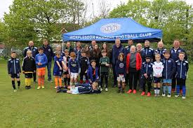 Image result for Shalford F C