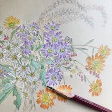 「望月麻里（マリ）」の画像検索結果