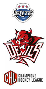Image result for Cardiff Devils