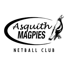Image result for Ledbury Magpies Netball Club