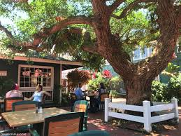 Image result for freshies