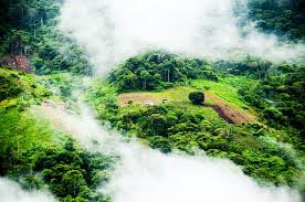 Výsledek obrázku pro yungas