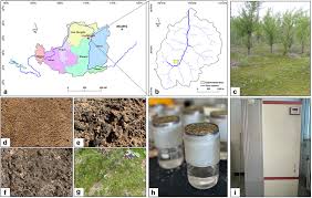 Attēlu rezultāti vaicājumam “Isopaches bicrenatus”