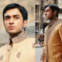 Brocade/banarsi fabric by