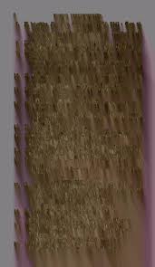 Attēlu rezultāti vaicājumam “Trichia ambigua spores”