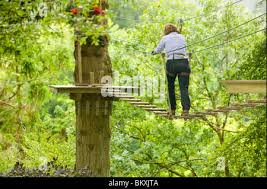 Image result for Go Ape! Grizedale