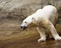 Cleveland Metroparks Zoo - Cleveland Ohio Zoo