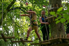 Image result for Essex Stragglers