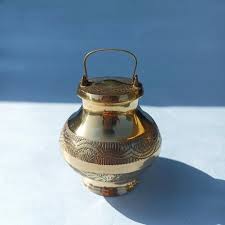 Image result for Lota lota