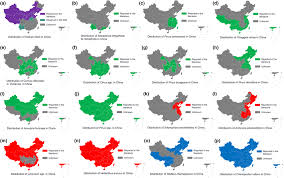 Attēlu rezultāti vaicājumam “Hadula trifolii”