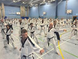 Image result for Calne Tagb Tae Kwon Do School