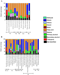Attēlu rezultāti vaicājumam “Jungermannia sphaerocarpa sporophyte”