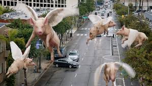 Image result for flying pigs