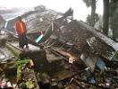 India Earthquakes