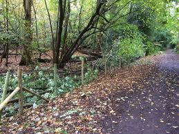 Image result for Ottershaw Tennis Club