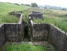 Sheep Dipping Pen - via Daymix