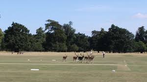 Image result for Follifoot Cc