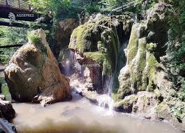 Image result for Sfânta Iuliana Falconieri