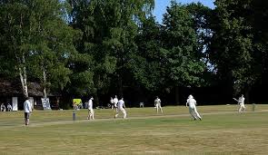 Image result for Grafham & Smithbrook Cricket Club