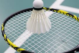 Image result for Doncaster Badminton