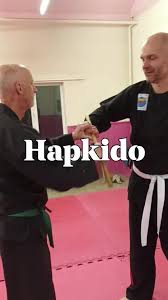 Image result for INTERNATIONAL HAPKIDO TAMWORTH