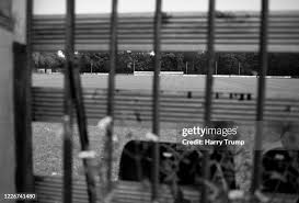 Image result for Taunton Deane Swimming Club