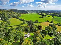 Image result for Newton Abbott Knights