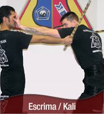 Image result for Bushin Kenpo Kai Schools