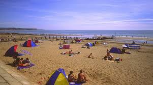 Image result for Dawlish Sc